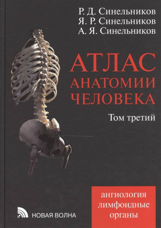 Атлас анатомии человека. В 4-х т. Том 3. (Ангиология, лимфоидные органы.). Д/ВУЗов.  