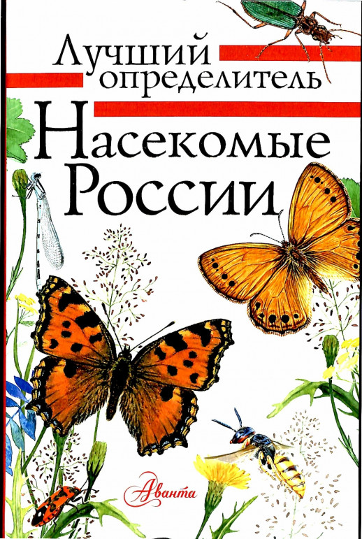 Насекомые России. Лучший определитель  