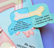 Волшебные окошки. Мое тело