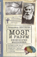 Мозг и разум: физиология мышления