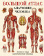 Большой атлас анатомии человека (мягк.)  
