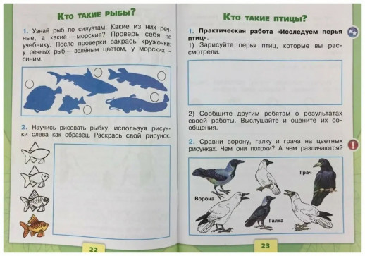 Окружающий мир 1 класс. Рабочая тетрадь (Школа России) ФП  