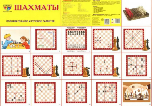Дем. картинки СУПЕР Шахматы. 16 демонстр. картинок с текстом (173х220 мм)  