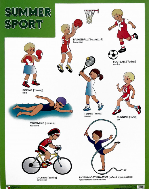 Плакаты. Summer Sport (Летние виды спорта)  