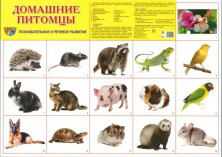 Дем. картинки СУПЕР. Домашние питомцы. 16 демонстр. картинок с текстом на обороте (173х220 мм)