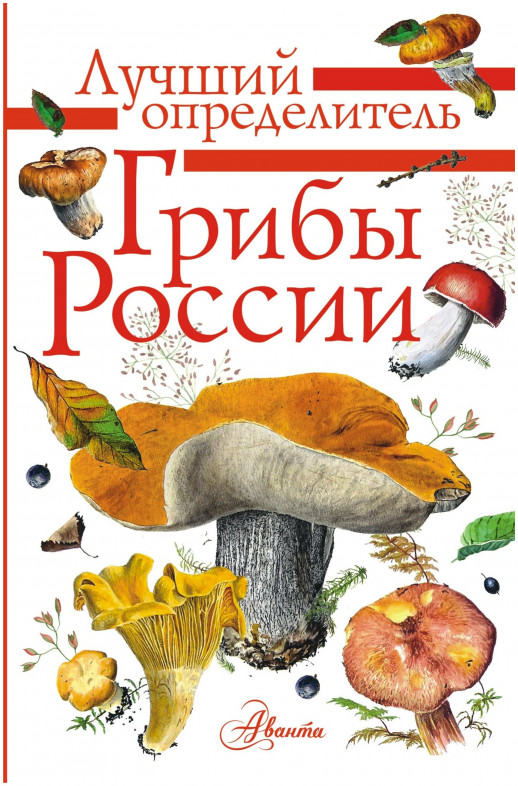 Грибы России. Лучший определитель  